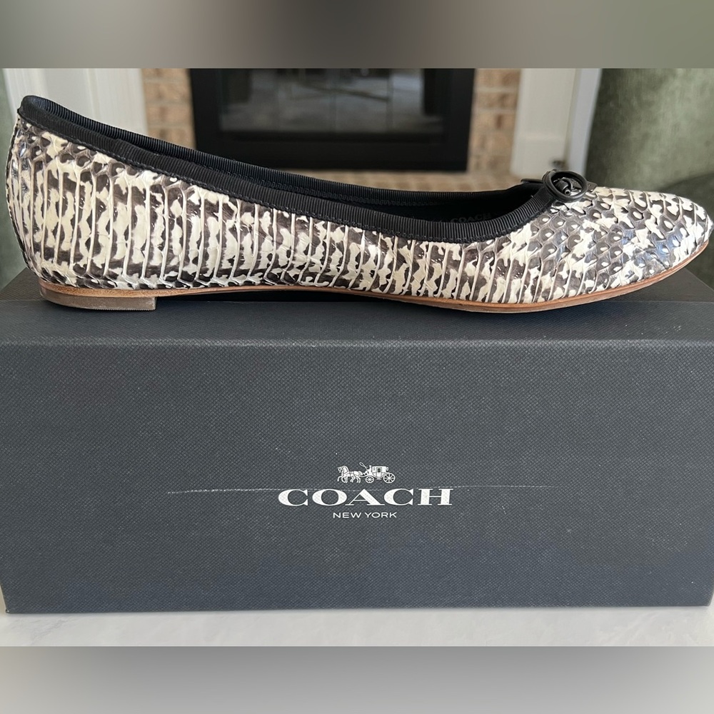 Coach Flatiron Ballet Flats - Black and White Snakeskin - Picture 5 of 10